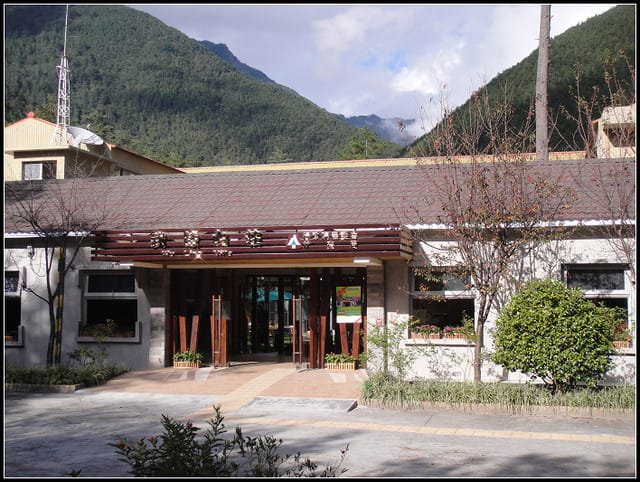 武陵-桃山瀑布、雪山登山入口 - 第26張圖 武陵-桃山瀑布、雪山登山入口