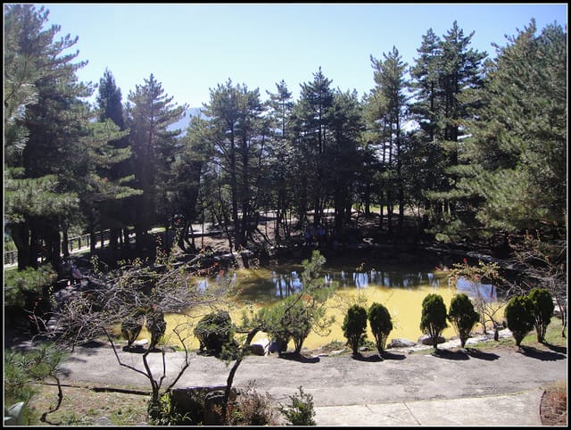 福壽山(一)-賞景趴趴走~ - 第16張圖 福壽山(一)-賞景趴趴走~