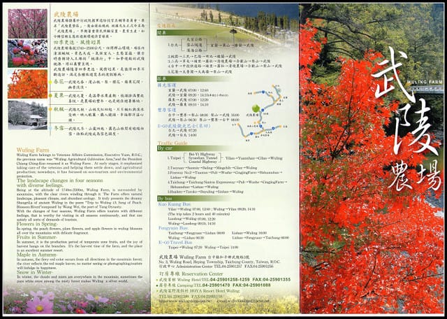 武陵-桃山瀑布、雪山登山入口 - 第41張圖 武陵-桃山瀑布、雪山登山入口