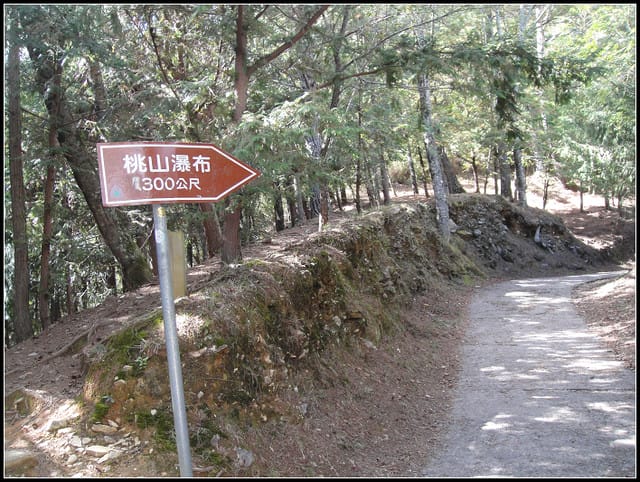 武陵-桃山瀑布、雪山登山入口 - 第16張圖 武陵-桃山瀑布、雪山登山入口