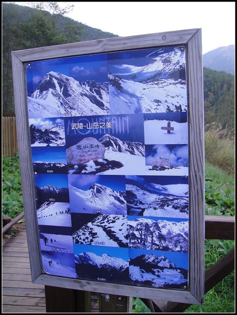 武陵-桃山瀑布、雪山登山入口 - 第40張圖 武陵-桃山瀑布、雪山登山入口