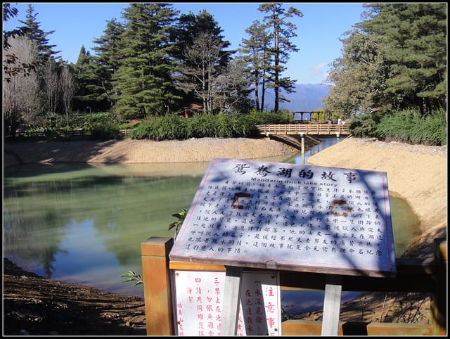 福壽山(二)-賞”楓”景~趴趴走~ - 第25張圖 福壽山(二)-賞”楓”景~趴趴走~