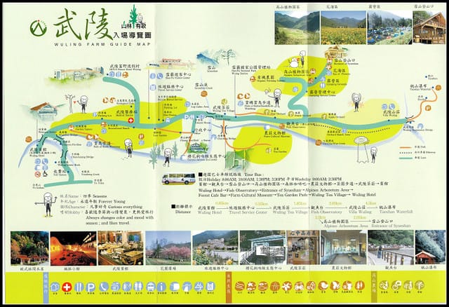 武陵-桃山瀑布、雪山登山入口 - 第42張圖 武陵-桃山瀑布、雪山登山入口