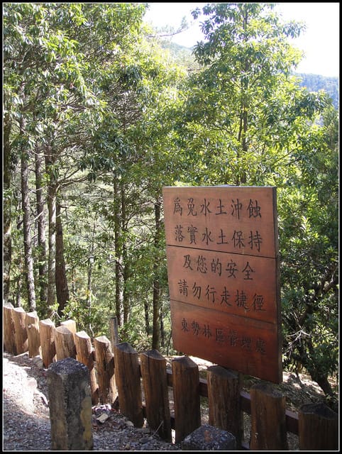 武陵-桃山瀑布、雪山登山入口 - 第13張圖 武陵-桃山瀑布、雪山登山入口