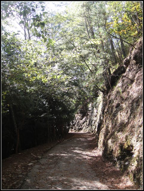 武陵-桃山瀑布、雪山登山入口 - 第10張圖 武陵-桃山瀑布、雪山登山入口