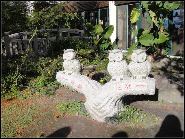 埔里酒廠、武嶺 - 第19張圖 埔里酒廠、武嶺