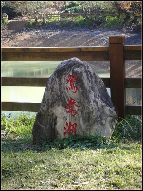福壽山(二)-賞”楓”景~趴趴走~ - 第23張圖 福壽山(二)-賞”楓”景~趴趴走~