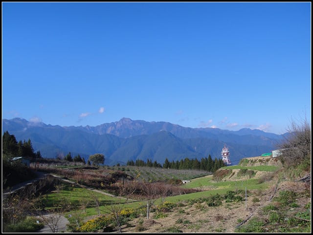 福壽山(二)-賞”楓”景~趴趴走~ - 第33張圖 福壽山(二)-賞”楓”景~趴趴走~