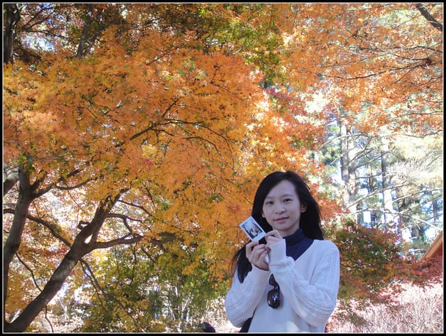 福壽山(二)-賞”楓”景~趴趴走~ - 第15張圖 福壽山(二)-賞”楓”景~趴趴走~