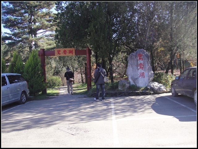 福壽山(二)-賞”楓”景~趴趴走~ - 第22張圖 福壽山(二)-賞”楓”景~趴趴走~