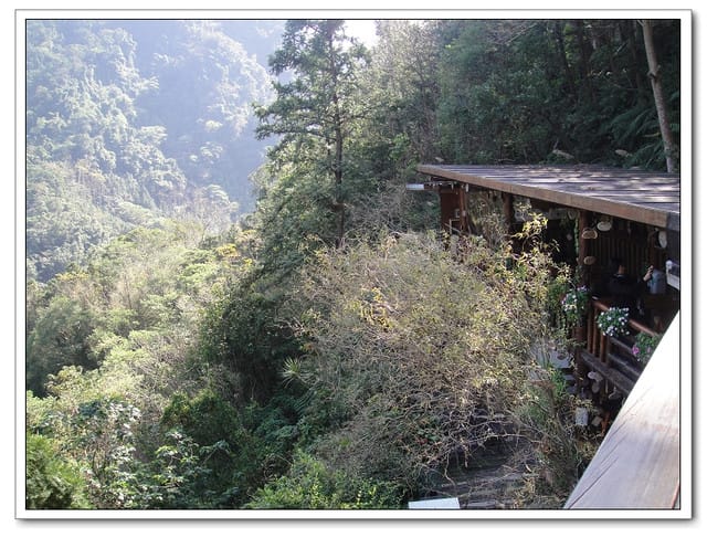 山行玫瑰