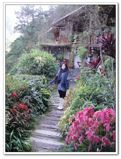 山行玫瑰