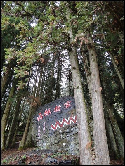 尖石-賞賞賞之行 - 第30張圖 尖石-賞賞賞之行