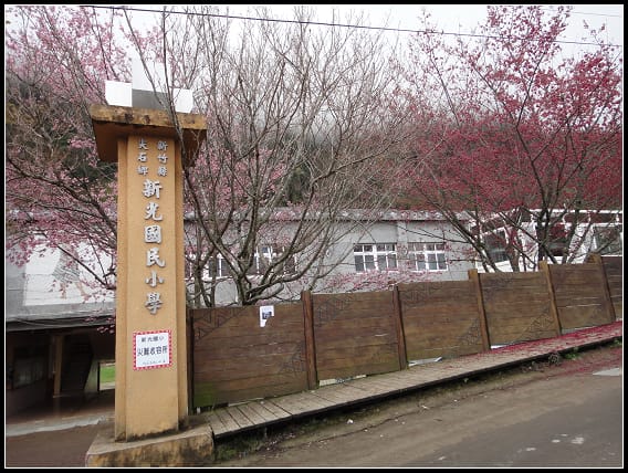 尖石-賞賞賞之行 - 第18張圖 尖石-賞賞賞之行