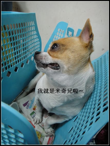 溪湖羊肉、鹿港