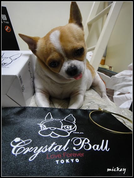 Crystal Ball (全家咖啡集點數~)