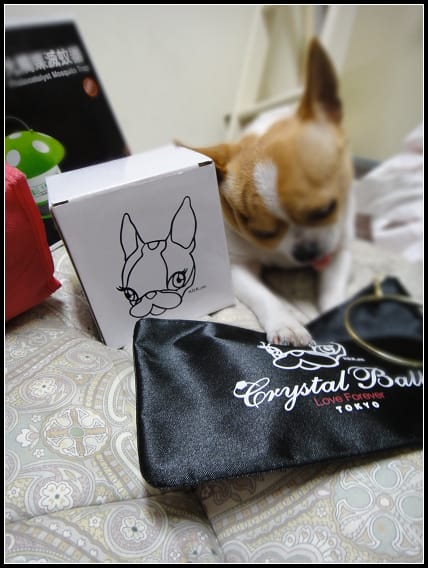 Crystal Ball (全家咖啡集點數~)