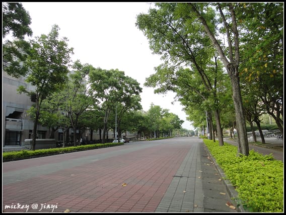 嘉義-中正大學