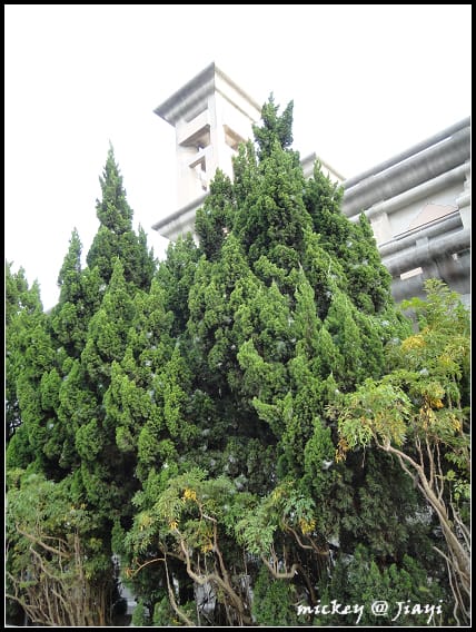 嘉義-中正大學