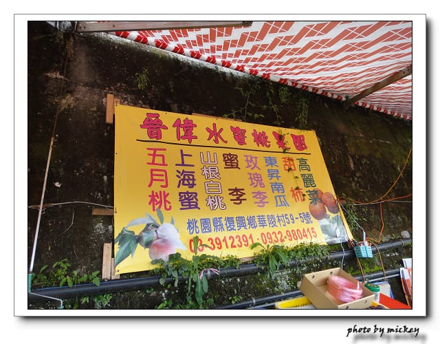 桃園-拉拉山買水蜜桃、龍潭我家小館
