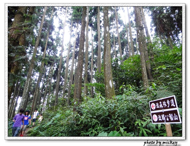 新竹-山上人家 - 第28張圖 新竹-山上人家
