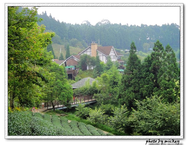 新竹-山上人家 - 第34張圖 新竹-山上人家