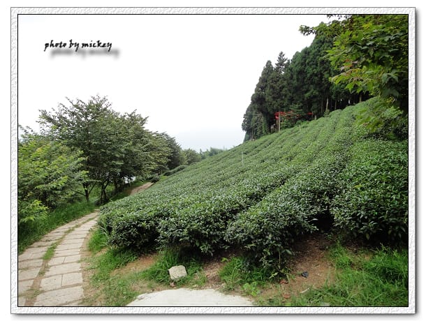 新竹-山上人家 - 第10張圖 新竹-山上人家