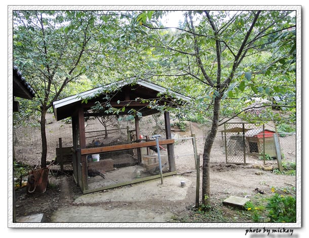 新竹-山上人家 - 第35張圖 新竹-山上人家