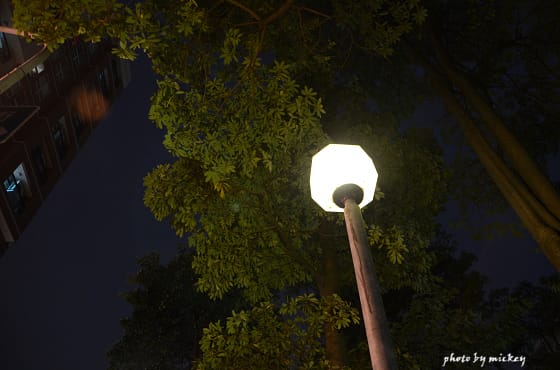台中-初次練夜拍(日出、國立台灣美術館) - 第3張圖 台中-初次練夜拍(日出、國立台灣美術館)