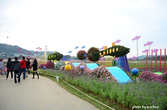 新社-花海 - 第24張圖 新社-花海