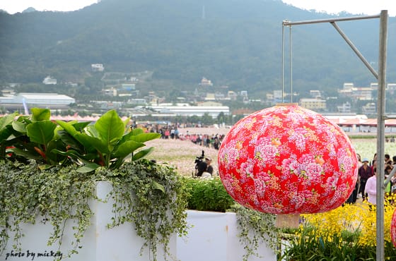 新社-花海 - 第26張圖 新社-花海