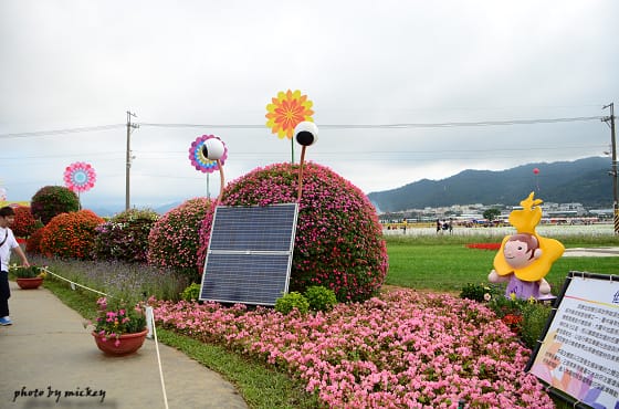 新社-花海 - 第14張圖 新社-花海