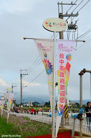 新社-花海 - 第27張圖 新社-花海