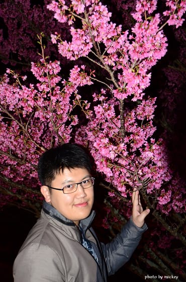 台中-武陵農場 (夜晚出動-星軌。夜櫻) - 第7張圖 台中-武陵農場 (夜晚出動-星軌。夜櫻)