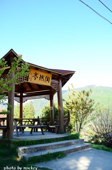 台中-武陵農場 (露營區、登山口) - 第5張圖 台中-武陵農場 (露營區、登山口)