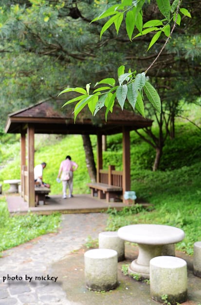 新竹內灣-高頂農莊(米奇認識新朋友~)