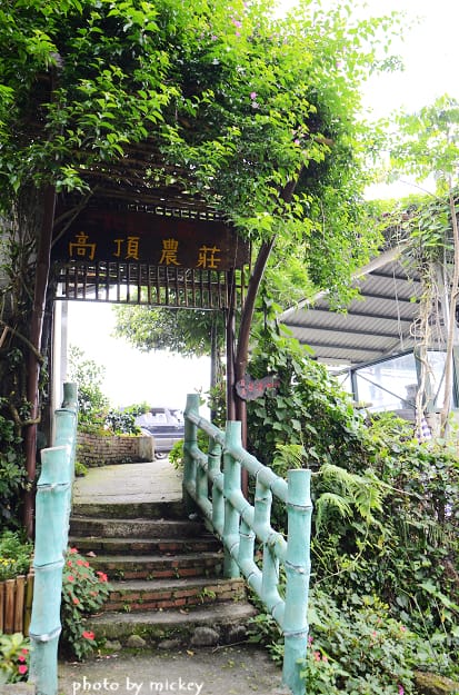 新竹內灣-高頂農莊(米奇認識新朋友~)