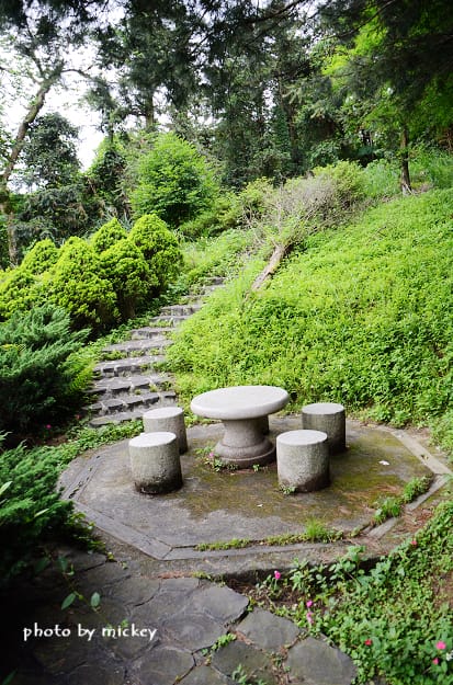 新竹內灣-高頂農莊(米奇認識新朋友~)