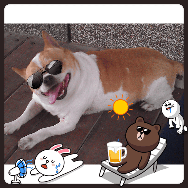2012/07/16 米奇兄當小天使的日子