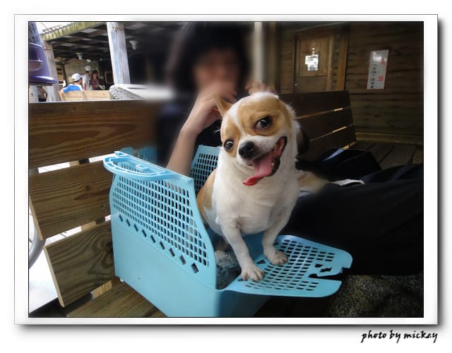 2012/07/16 米奇兄當小天使的日子