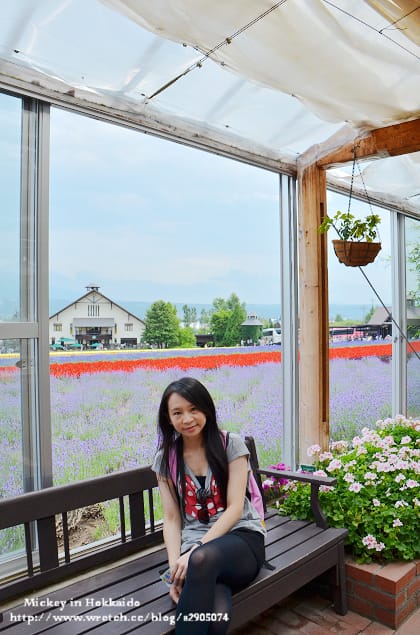 北海道-富良野。富田農場 (快門按不停哦~) - 第14張圖 北海道-富良野。富田農場 (快門按不停哦~)