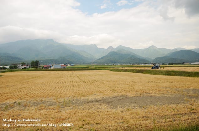 北海道-富良野。富田農場 (快門按不停哦~) - 第3張圖 北海道-富良野。富田農場 (快門按不停哦~)