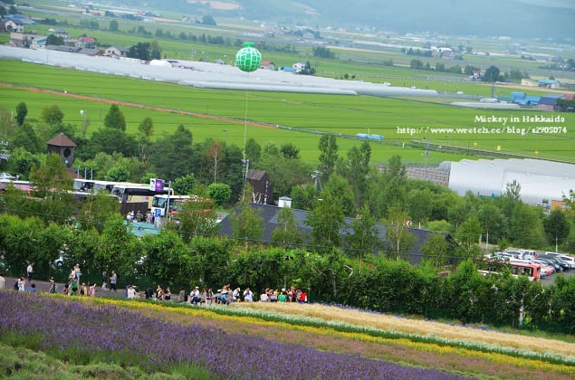 北海道-富良野。富田農場 (快門按不停哦~) - 第37張圖 北海道-富良野。富田農場 (快門按不停哦~)