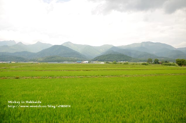 北海道-富良野。富田農場 (快門按不停哦~) - 第2張圖 北海道-富良野。富田農場 (快門按不停哦~)