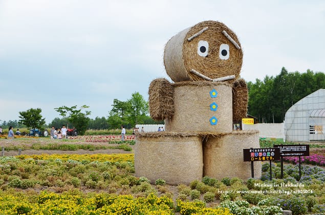 北海道-四季彩之丘 & 薰衣草香枕 (真是太美啦!) - 第4張圖 北海道-四季彩之丘 & 薰衣草香枕 (真是太美啦!)