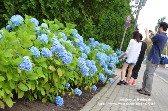 北海道-女子修道院 - 第23張圖 北海道-女子修道院