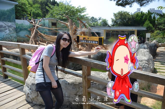 新竹-新竹市立動物園 (10元讓你玩透透) - 第28張圖 新竹-新竹市立動物園 (10元讓你玩透透)