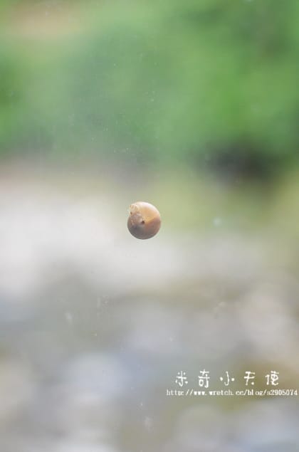 新竹北埔-冷水。雅典 (咖啡 餐點)