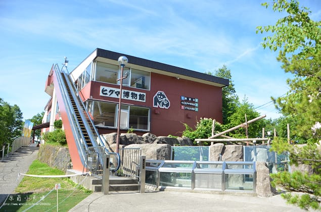 北海道-熊牧場 - 第9張圖 北海道-熊牧場