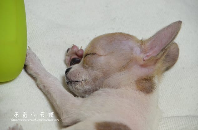 妹妹-滿三個月囉 (怎麼那麼萌丫)